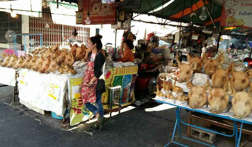ตลาดต้นไม้จตุจักรอุดร - 2
