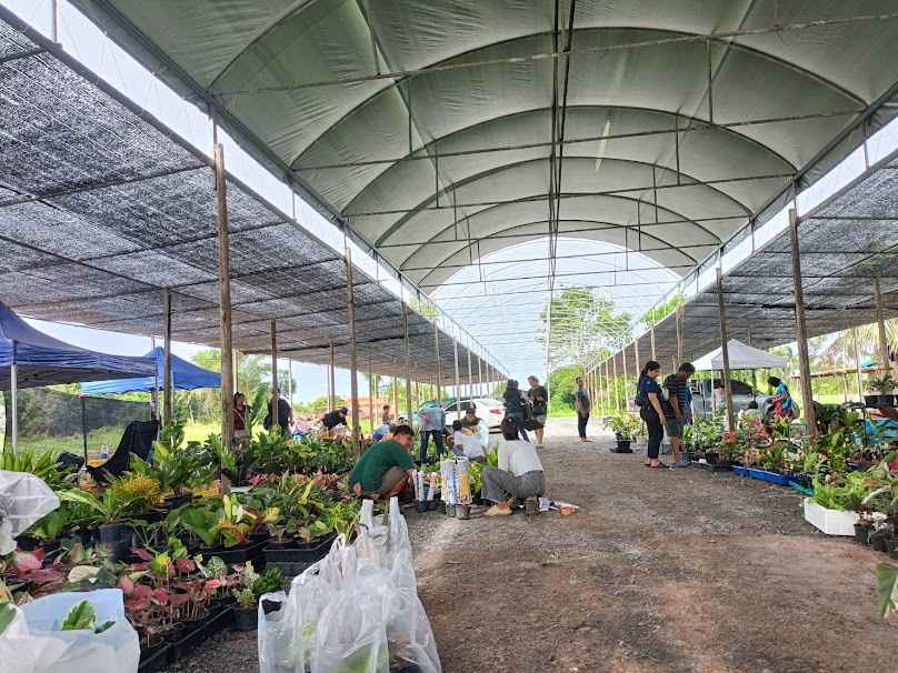 ตลาดต้นไม้ตะพง - 2
