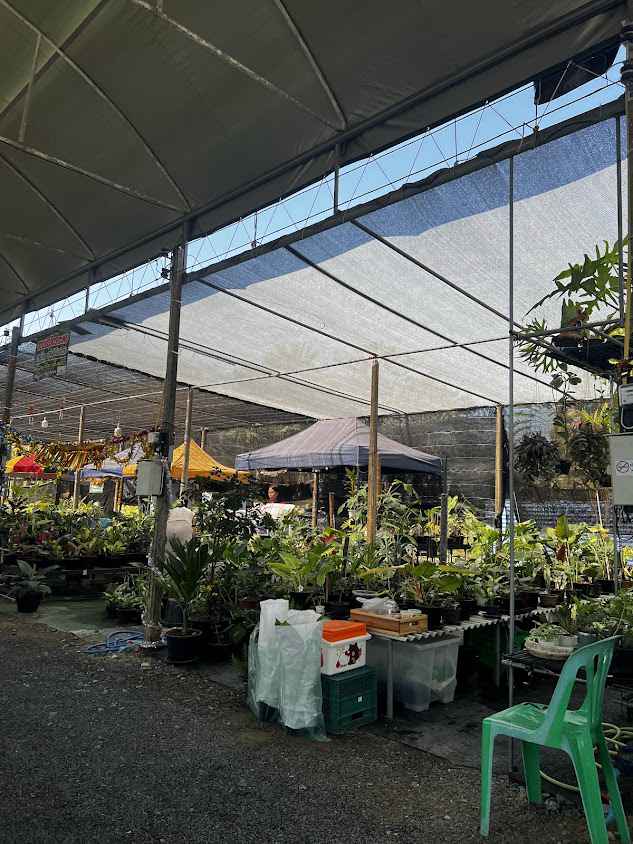ตลาดต้นไม้ตะพง - 4
