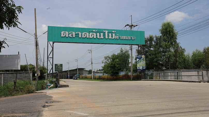 ตลาดต้นไม้ท้ายเกาะ - 3