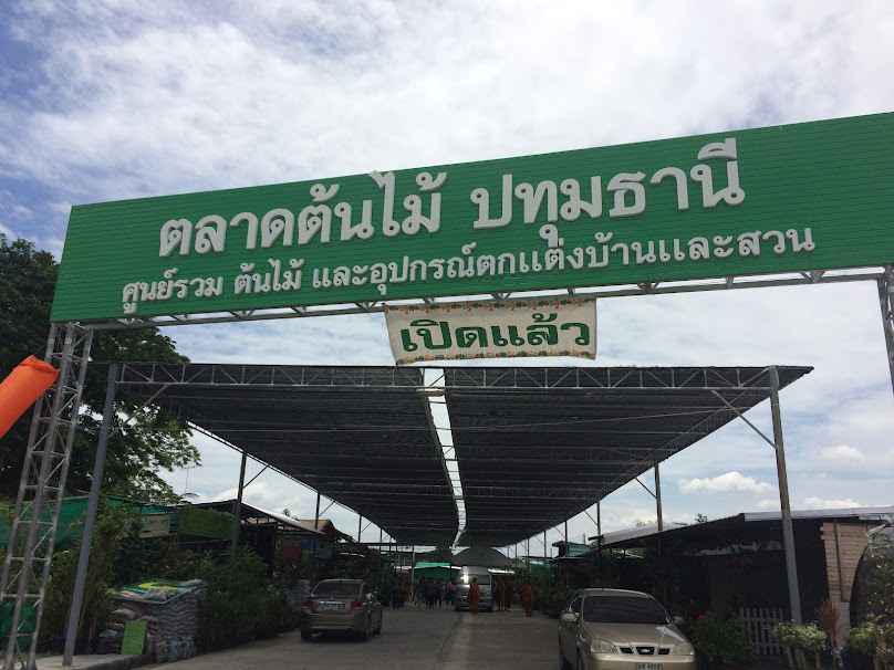 ตลาดต้นไม้ปทุมธานี