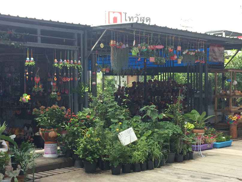 ตลาดต้นไม้ปทุมธานี - 4