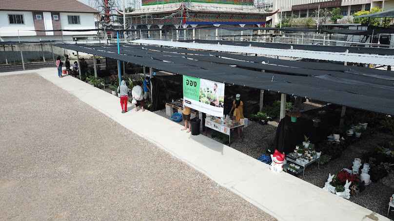 ตลาดต้นไม้มหาชัย