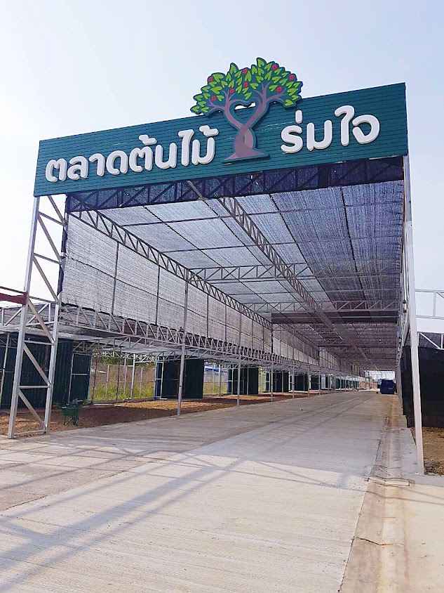 ตลาดต้นไม้ร่มใจ - 2