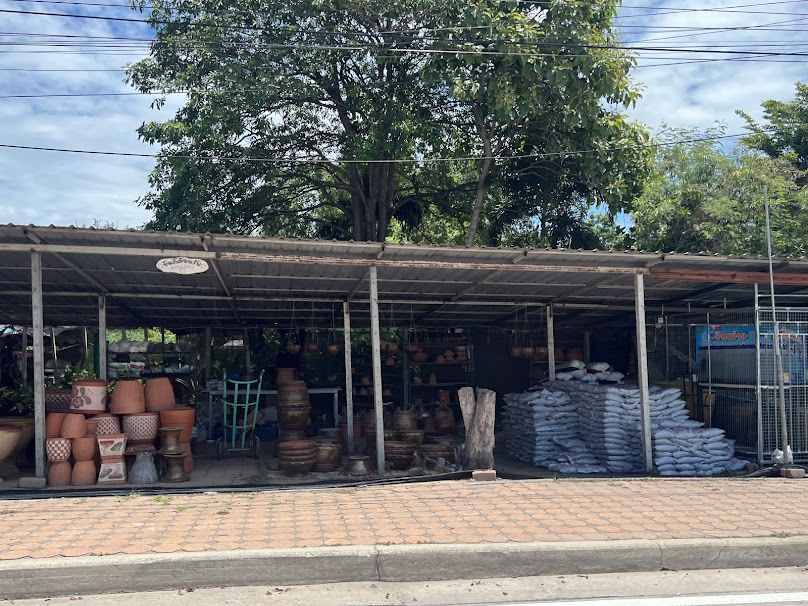 ตลาดต้นไม้ศรีทอง นานาชนิด - 2
