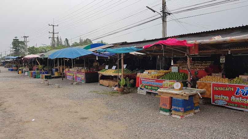 ตลาดต้นไม้สามร้อยยอด - 3
