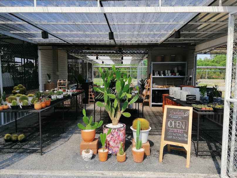 ตลาดต้นไม้สายไหม - 2