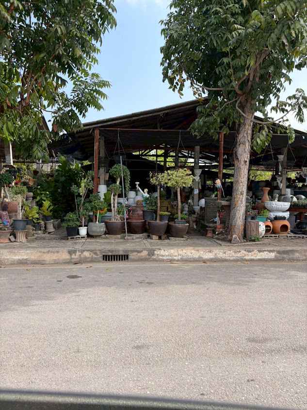 Suk Sawat Plant Market