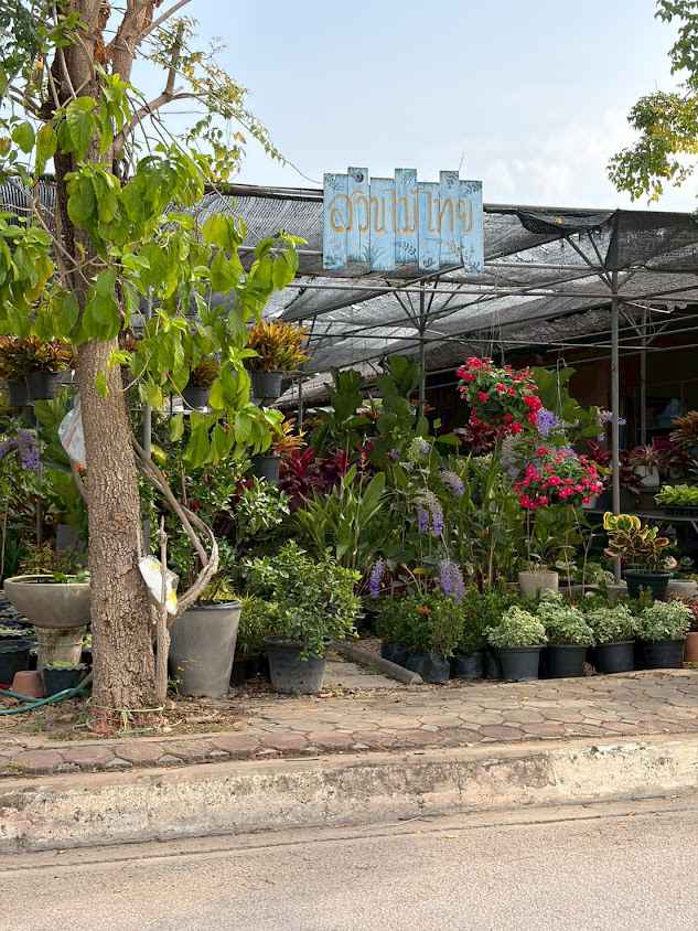 Suk Sawat Plant Market - 2