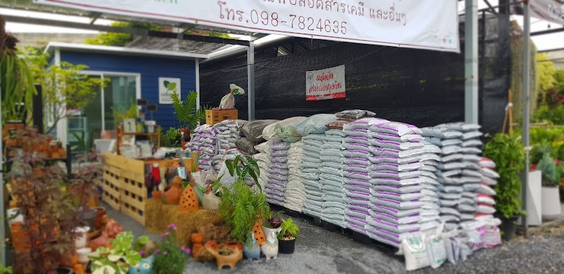ตลาดต้นไม้หัวมุม - 2