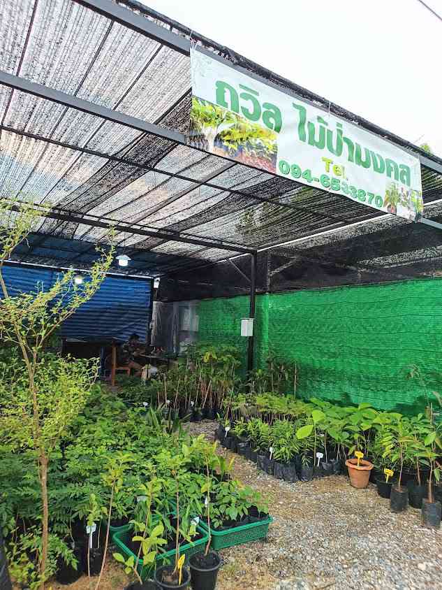 ตลาดต้นไม้เลิศการ์เด้นเซ็นเตอร์