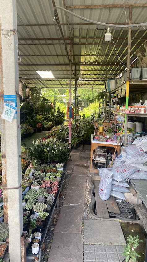 ตลาดต้นไม้เลียบทางด่วน - 2