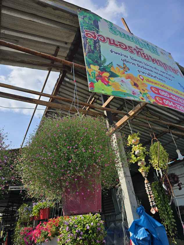 ตลาดต้นไม้เลียบทางด่วน - 4