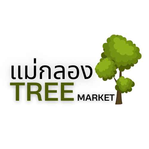 ตลาดต้นไม้แม่กลอง MaeKlong Tree Market