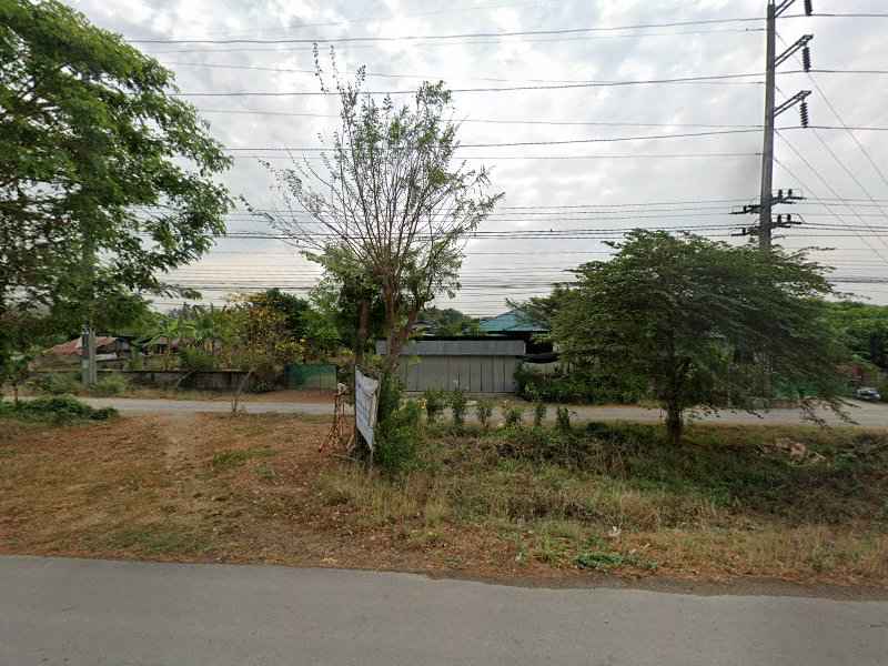 ตลาดต้นไม้และเซรามิก - 4
