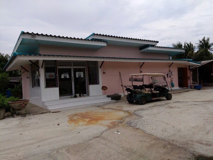Klong 9 Tree Supplier - 2