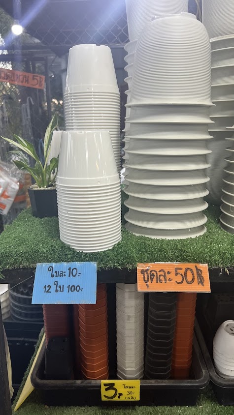ตลาดต้นไม้ มข. (อุทยานเกษตร) - 2