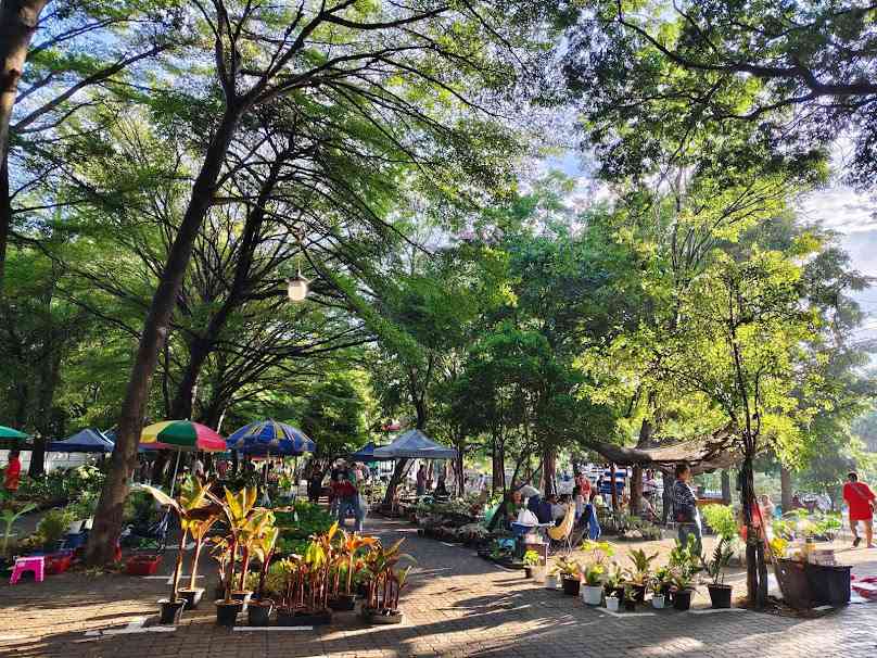 ตลาดต้นไม้ วัดพระนอนจักรสีห์วรวิหาร-Official - 3