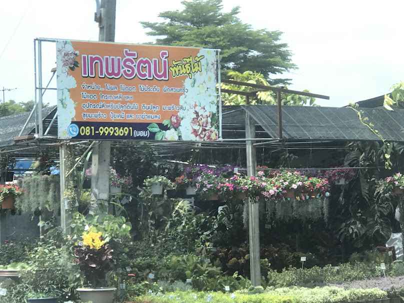ตลาดต้นไม้ สวนฟ้าใส - 1
