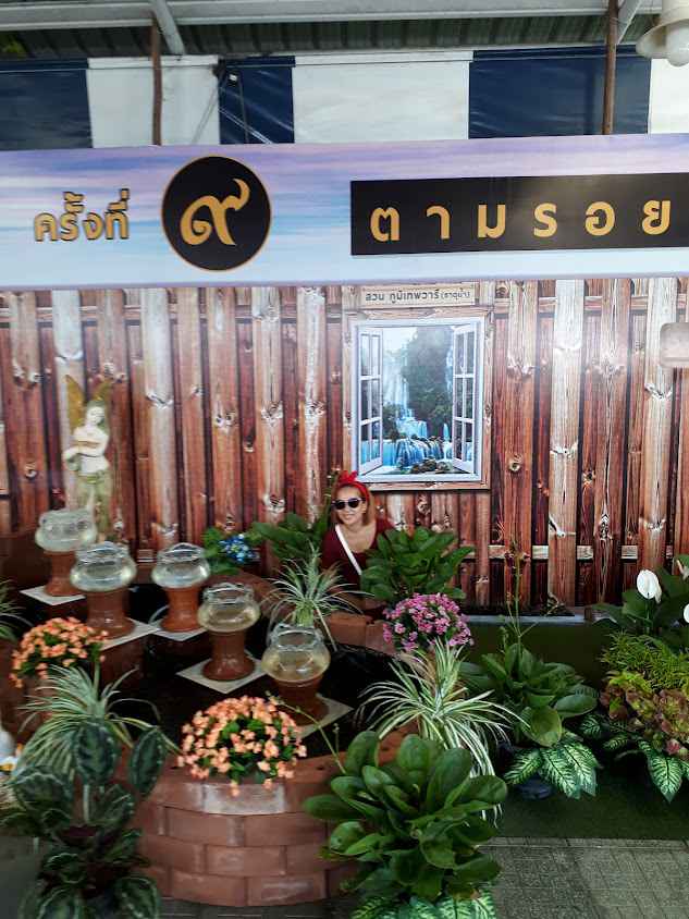 ตลาดต้นไม้ Green Market โฮมโปรระยอง - 2
