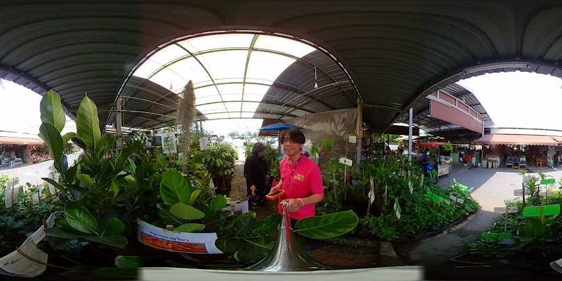 ตลาดต้นไม้ Green Market โฮมโปรระยอง - 4
