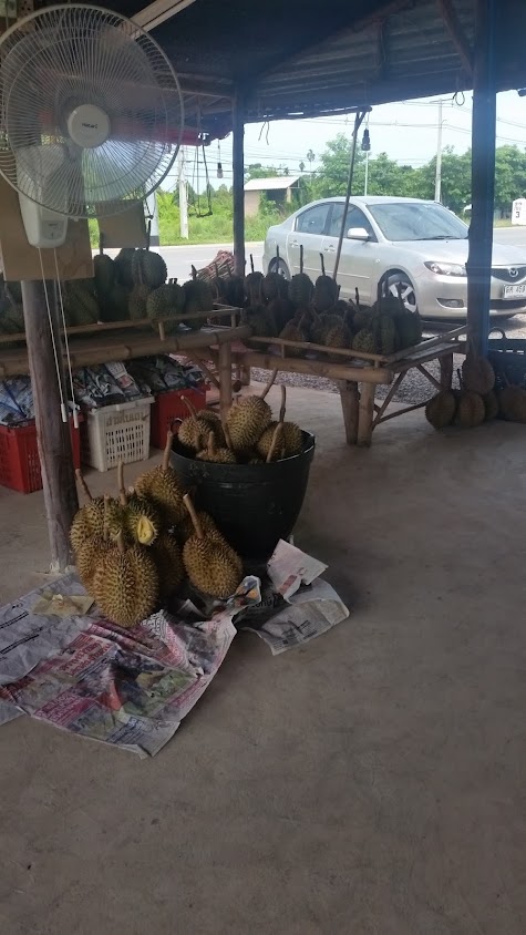 ตลาดนัดกลุ่มสตรีแม่บ้านตำบลไม้เค็ด