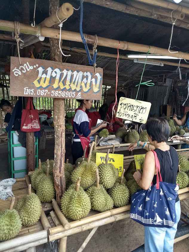 ตลาดนัดกลุ่มสตรีแม่บ้านตำบลไม้เค็ด - 3