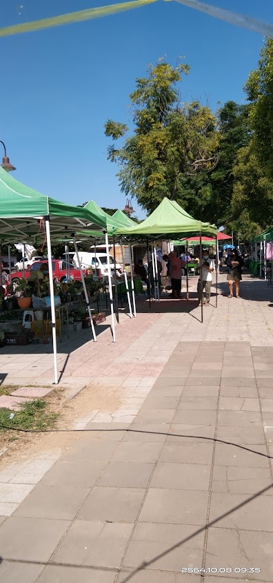 ตลาดนัดการเกษตรหน้าดับเพลิง - 2
