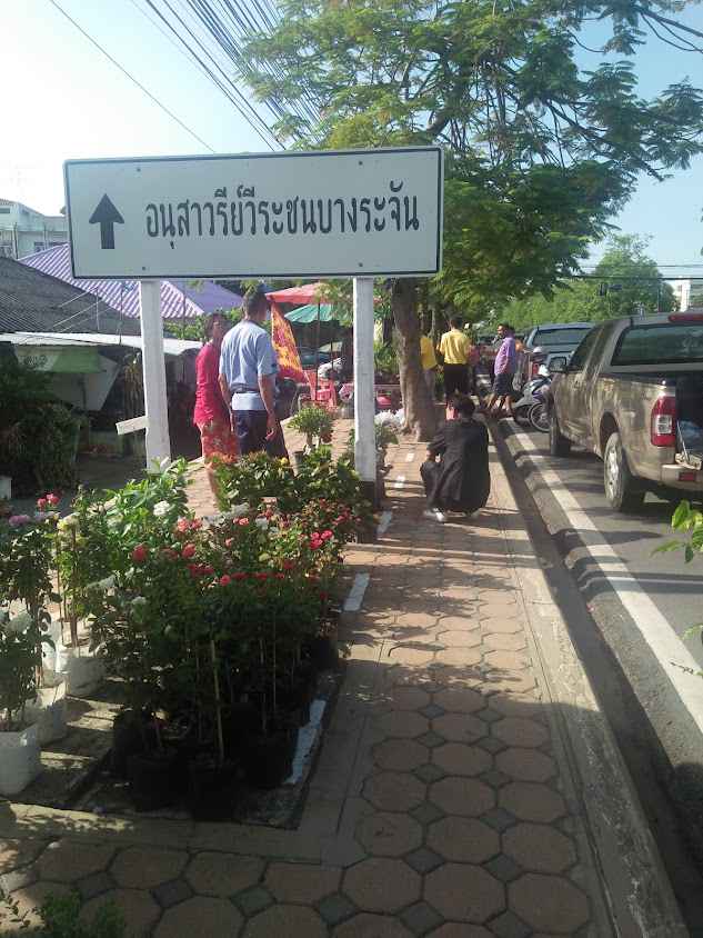 Singburi Plant Market - 1