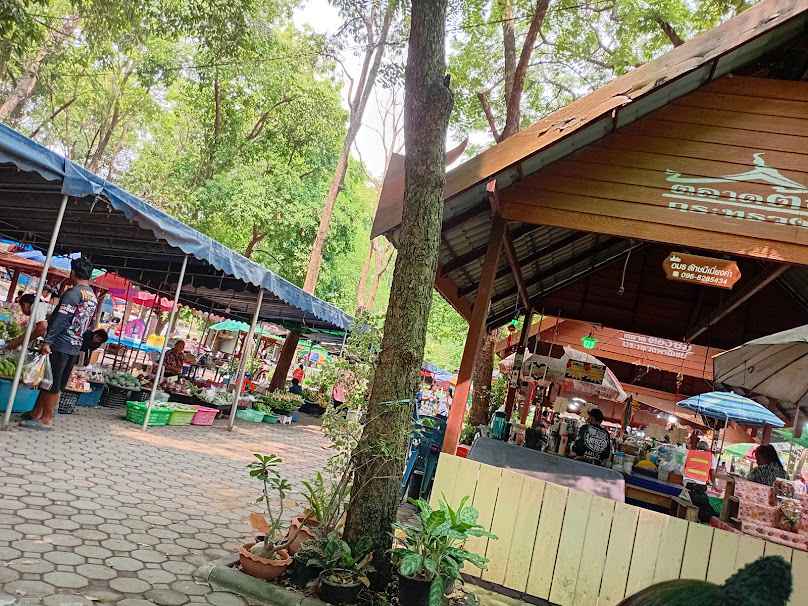 Singburi Plant Market - 2