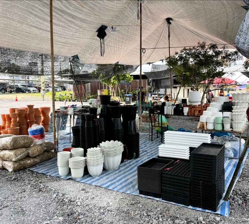 ตลาดนัดต้นไม้ หงส์ทะเล - 2