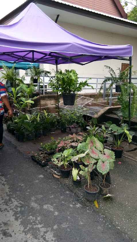 ตลาดนัดเช้าวันอาทิตย์ - 2