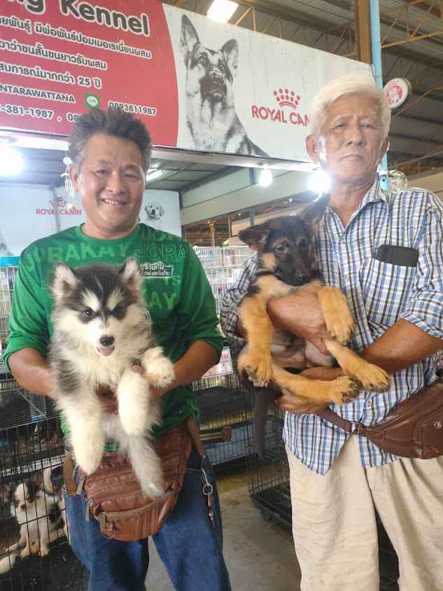 ตลาดปลาสวยงามบ้านโป่ง - 2
