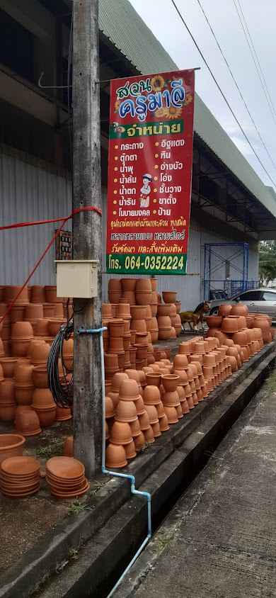 ตลาดพันธุ์ไม้ อ.ต.ก.ตรัง - 2
