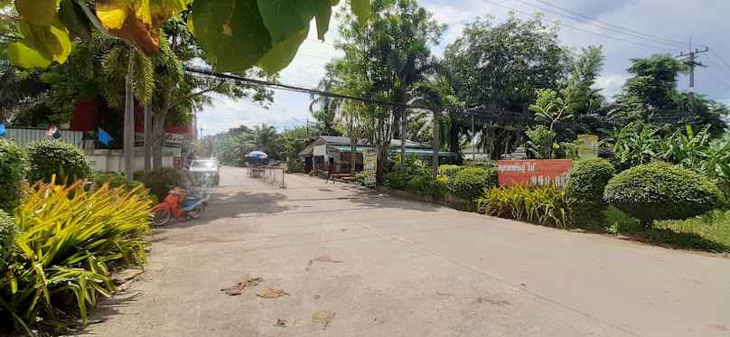 ตลาดพันธุ์ไม้ อ.ต.ก.ตรัง - 4