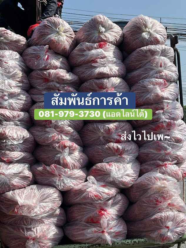 ตลาดรวมพืชผลหัวอิฐ - 4