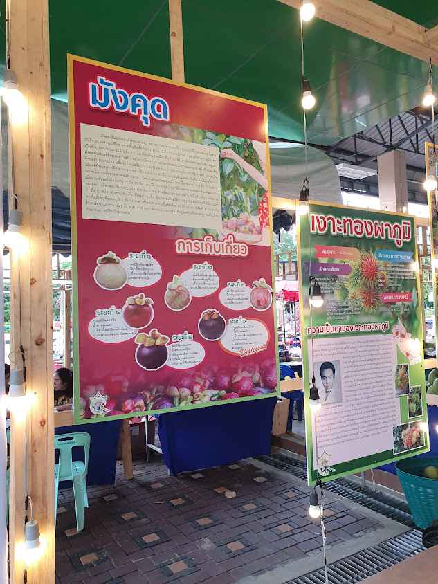 ตลาดเกษตรกร จังหวัดกาญจนบุรี (Farmer market) - 2