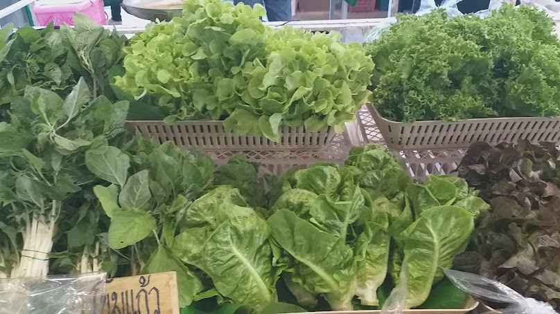 ตลาดเกษตรกร จังหวัดกาญจนบุรี (Farmer market) - 3