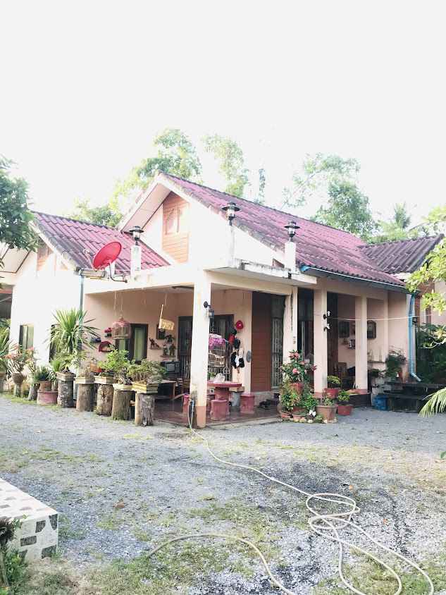 ตลาดเปิดท้ายมะม่วงสองต้น - 2