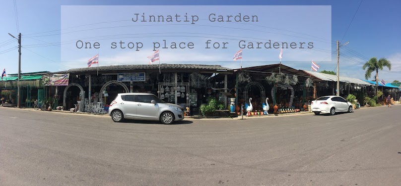ตลาดแก้วเจ้าจอม คลอง15 แหล่งจำหน่ายพันธุ์ไม้และของตกแต่งสวน - 4