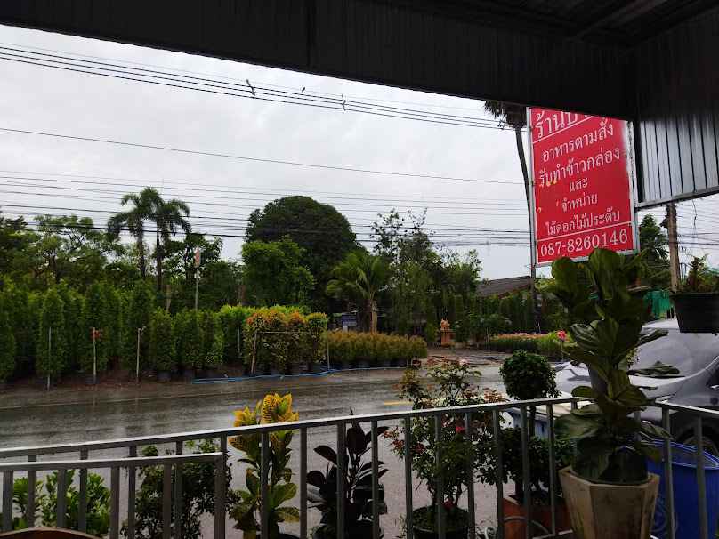 ตลาดไม้ดอกไม้ประดับ - 2
