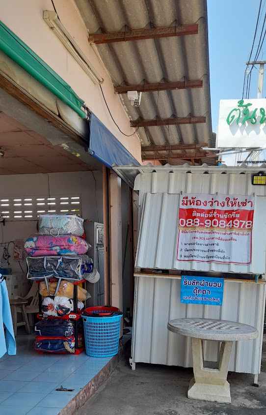 ต้นหลิว ซัก อบ รีด - 2