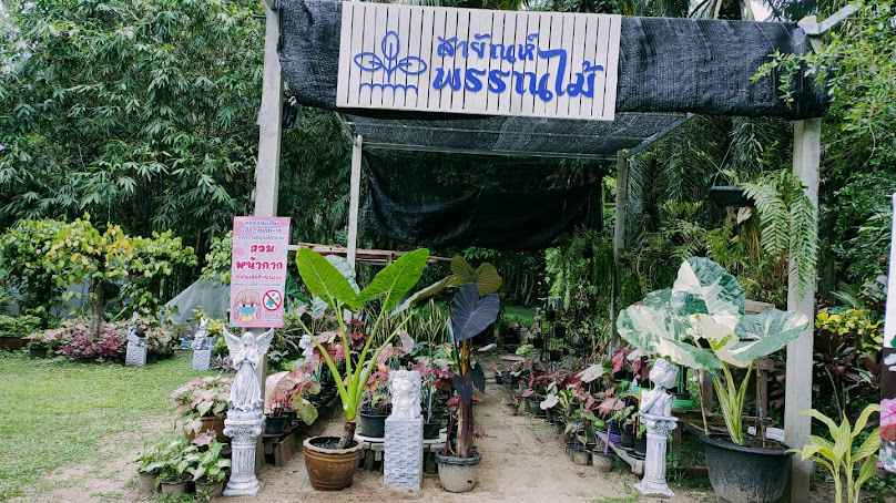 ต้นไม้กับสายรุ้ง - 4