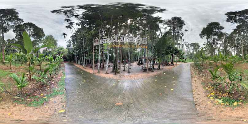 The Giant Tree - 4