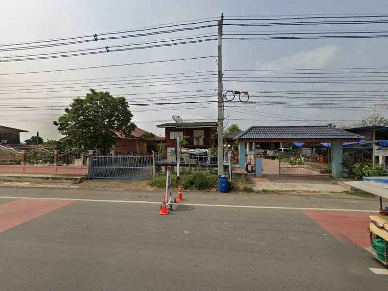 ทิพพฤกษานานาพันธุ์ไม้ - 4