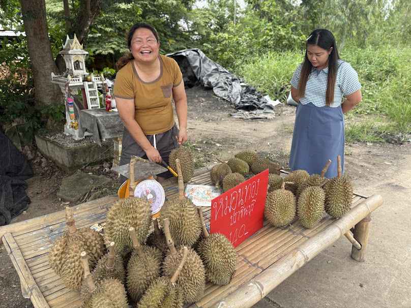 ทิวาราตรีพันธุ์ไม้