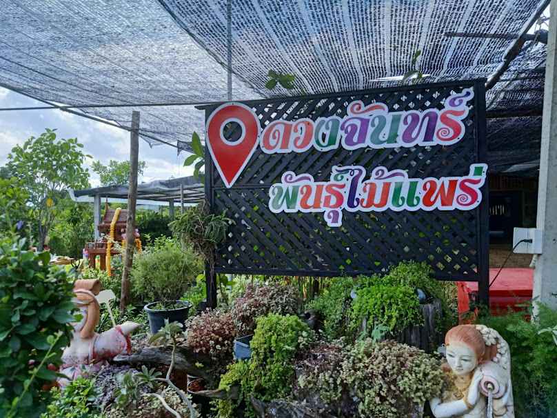 ทิวาราตรีพันธุ์ไม้ - 2