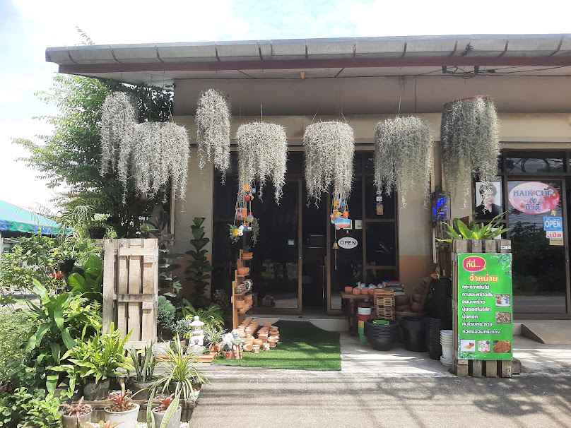 ที่ทำงานร้านต้นไม้ - 4