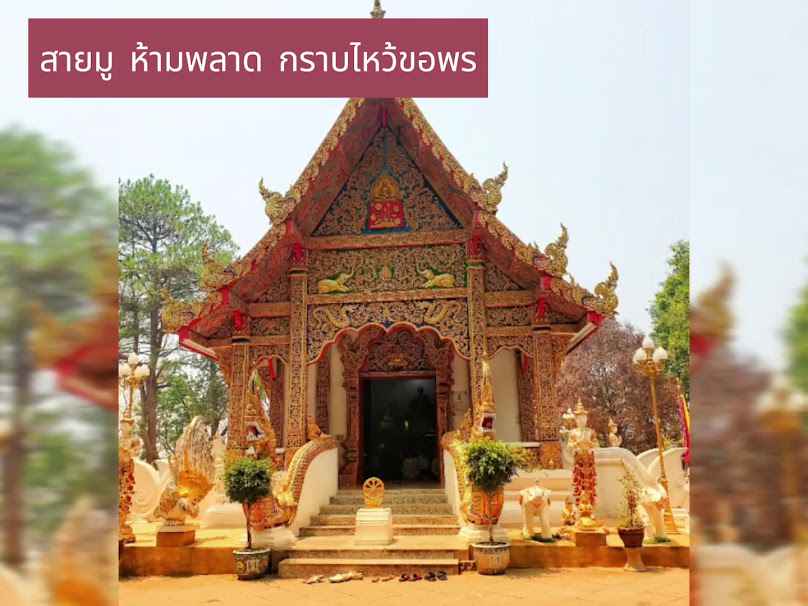 ธนสิษฐ์ รถเช่าเชียงราย - 2