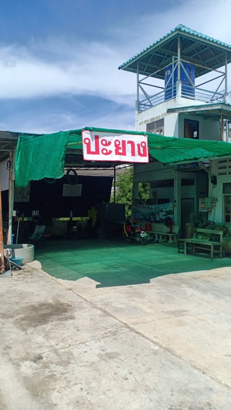 ธานินทร์การยาง - 1